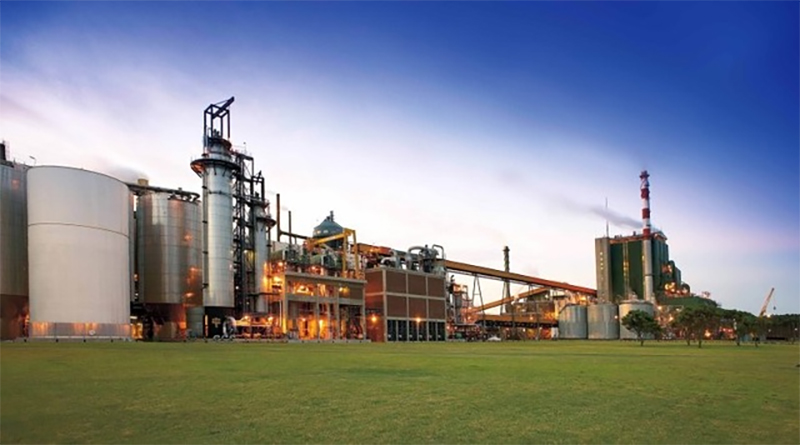 green grass and factory building