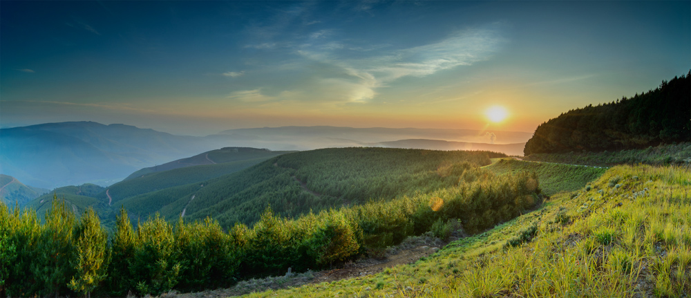 beautyful sunset green mountains and trees