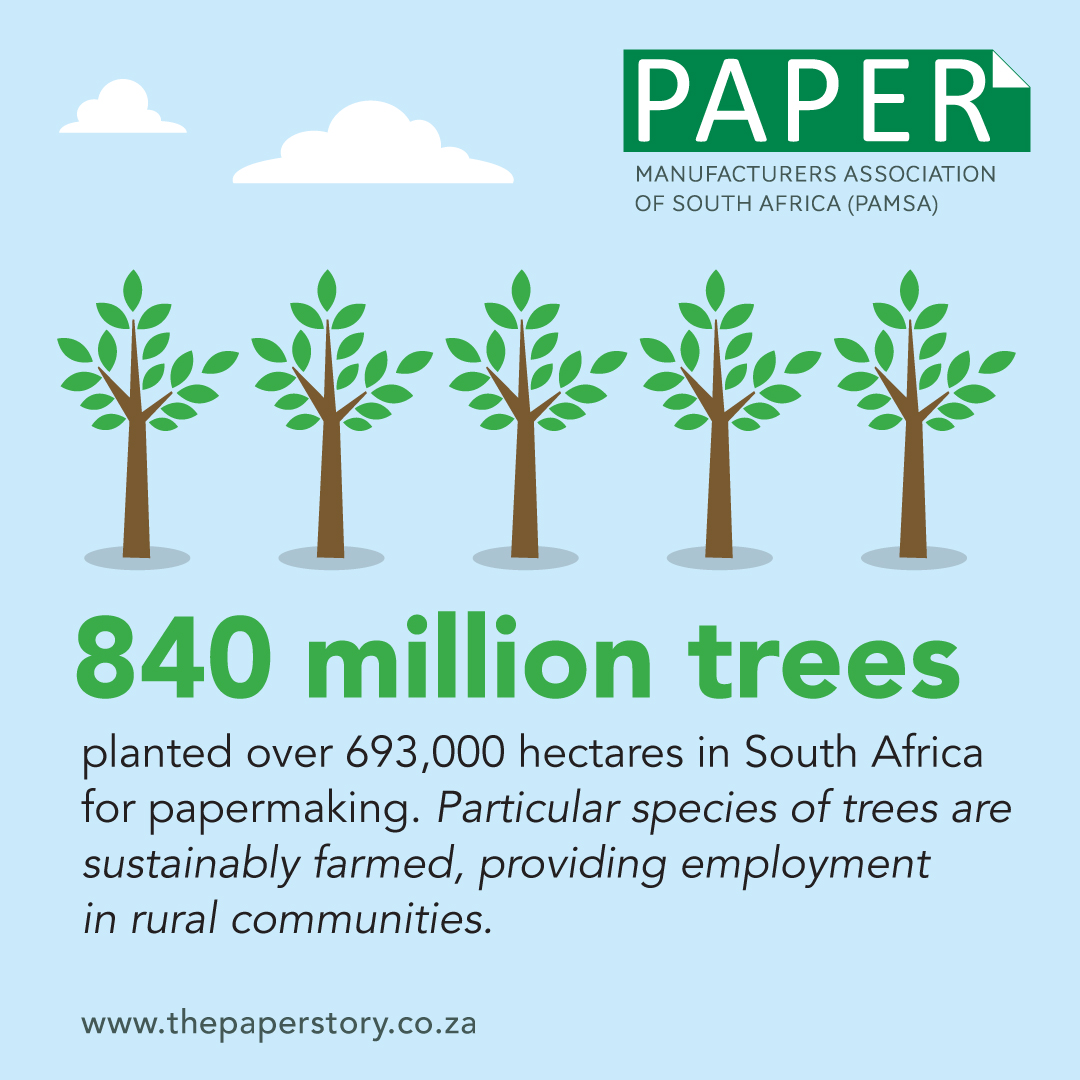 infographics about planted trees in South Africa