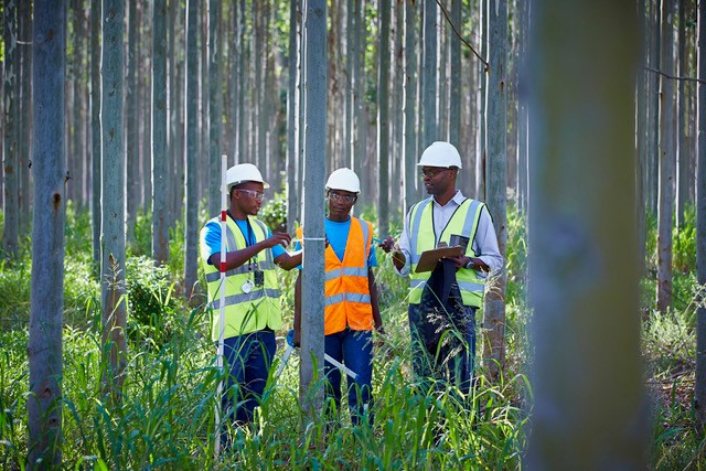 International Day of Forests6