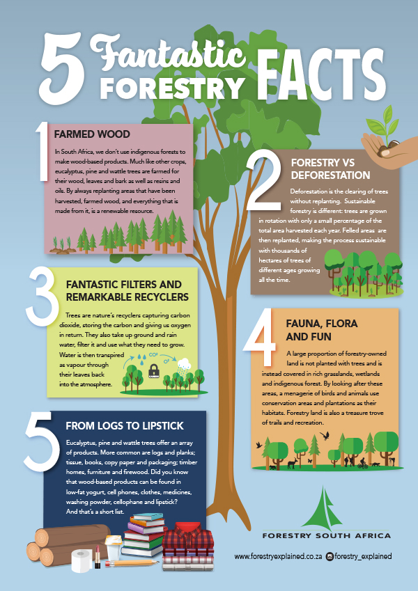 Five-Fantastic-Forestry-Facts