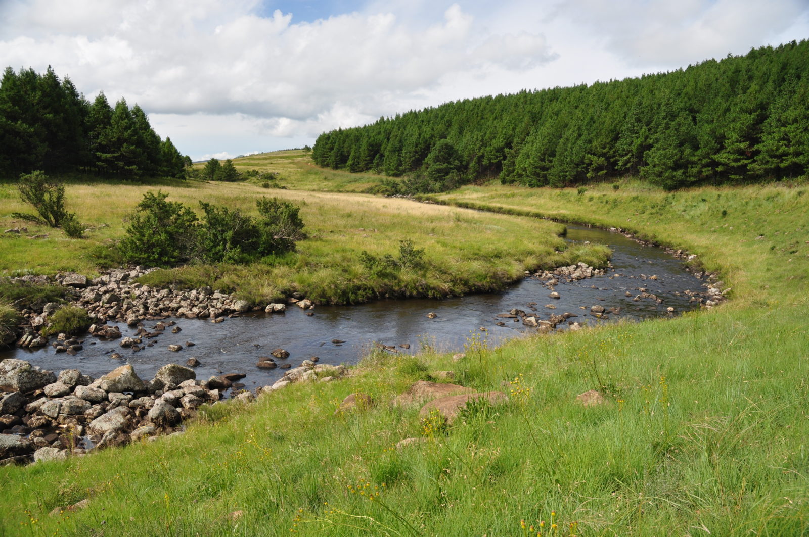 World Wetlands Day – 2 February | Protecting our world’s water factories