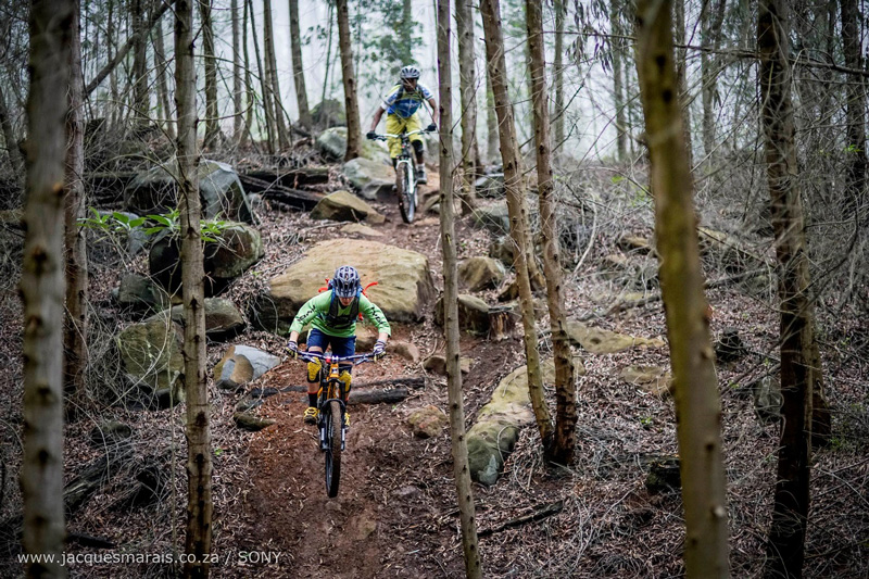 PHOTO 3 Mountain biking pleasure seekers will find a treasure trove of trails in South Africa's plantations