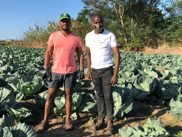 Farming for the future – The Paper Story (PAMSA) Farming for the future – The Paper Story (PAMSA)