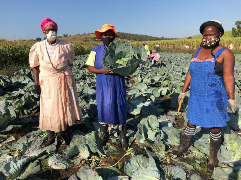 Farming for the future – The Paper Story (PAMSA) Farming for the future – The Paper Story (PAMSA)