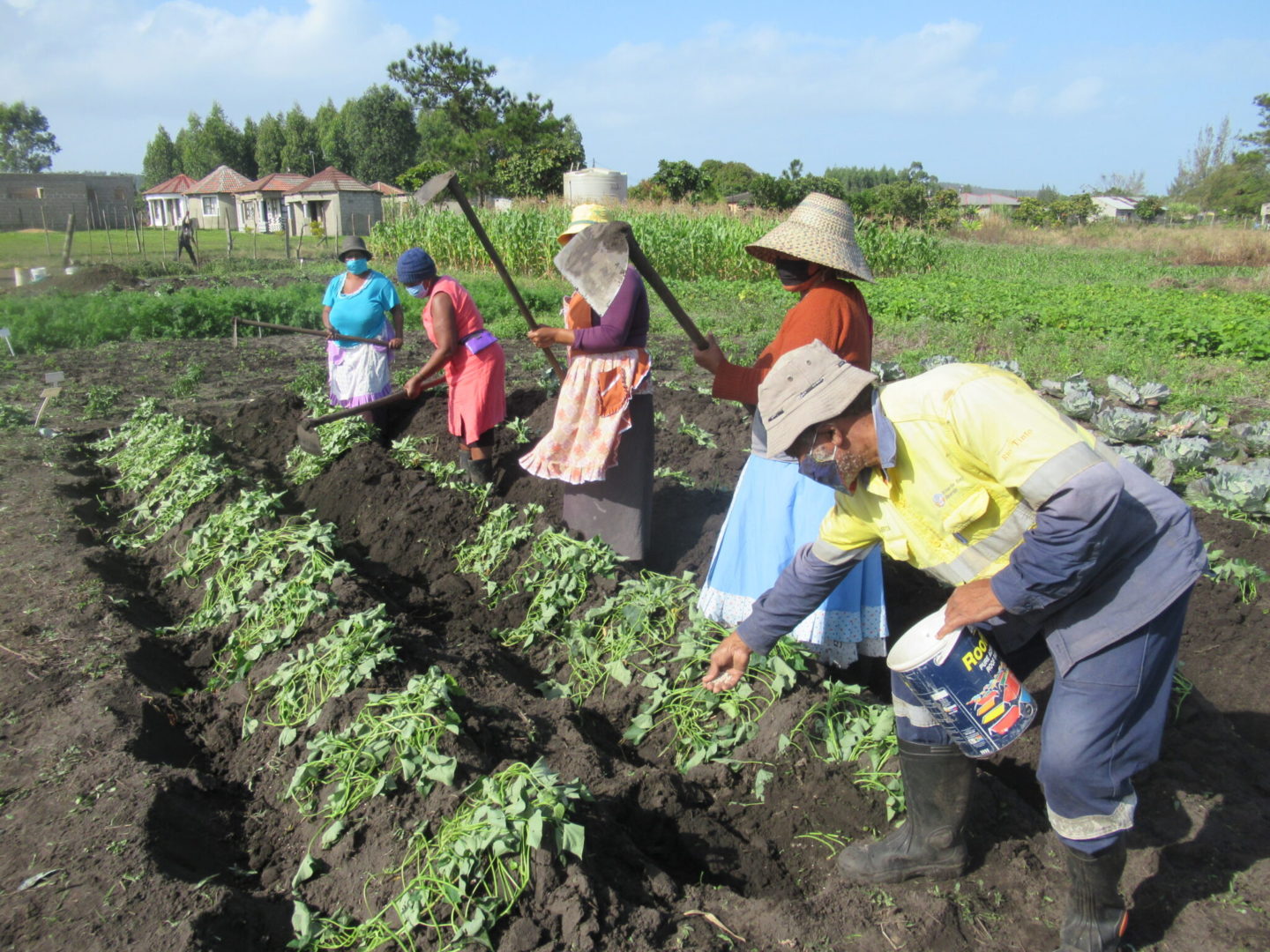 Farming for the future – The Paper Story (PAMSA) Farming for the future – The Paper Story (PAMSA)