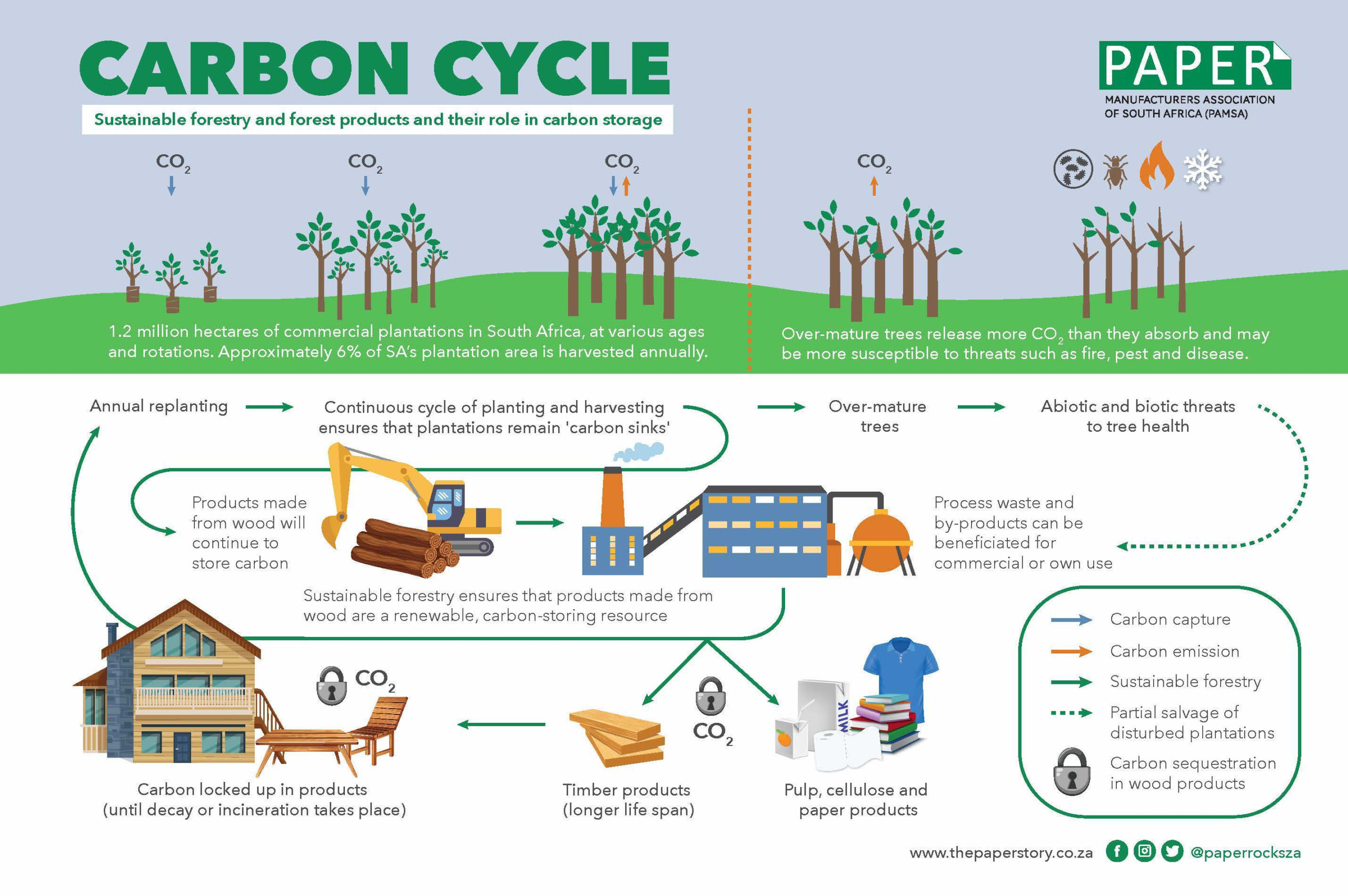PAMSA-Forest-Carbon-Cycle-scaled0 PAMSA-Forest-Carbon-Cycle-scaled0