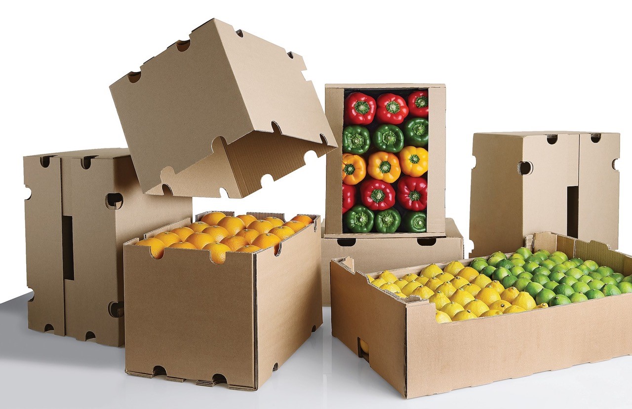 PAMSA-Paper-and-Wood-Products-Make-Modern-Life-Possible PAMSA-Paper-and-Wood-Products-Make-Modern-Life-Possible