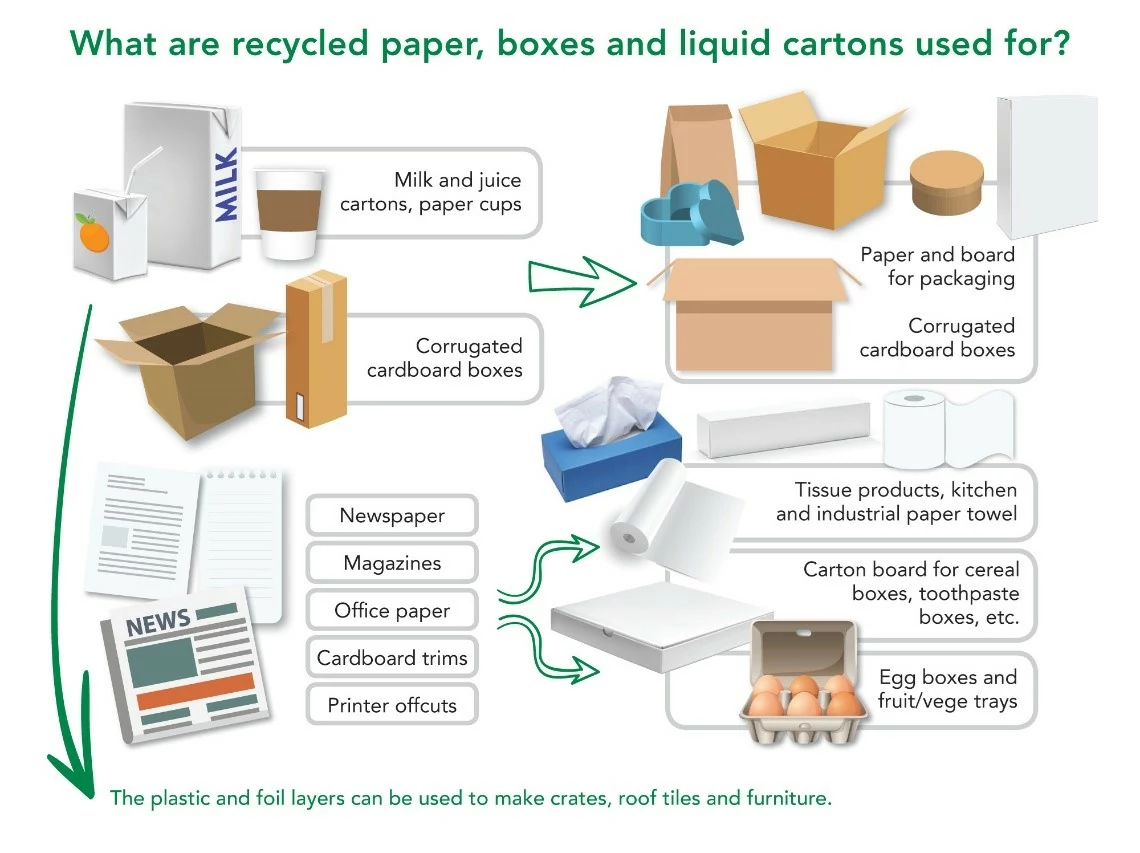 Recycled Materials Infographic