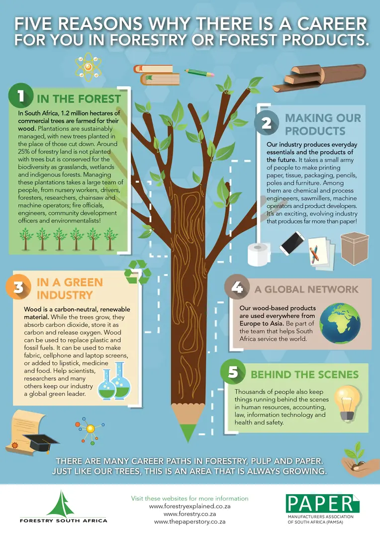 Forestry Paper Career Infographic